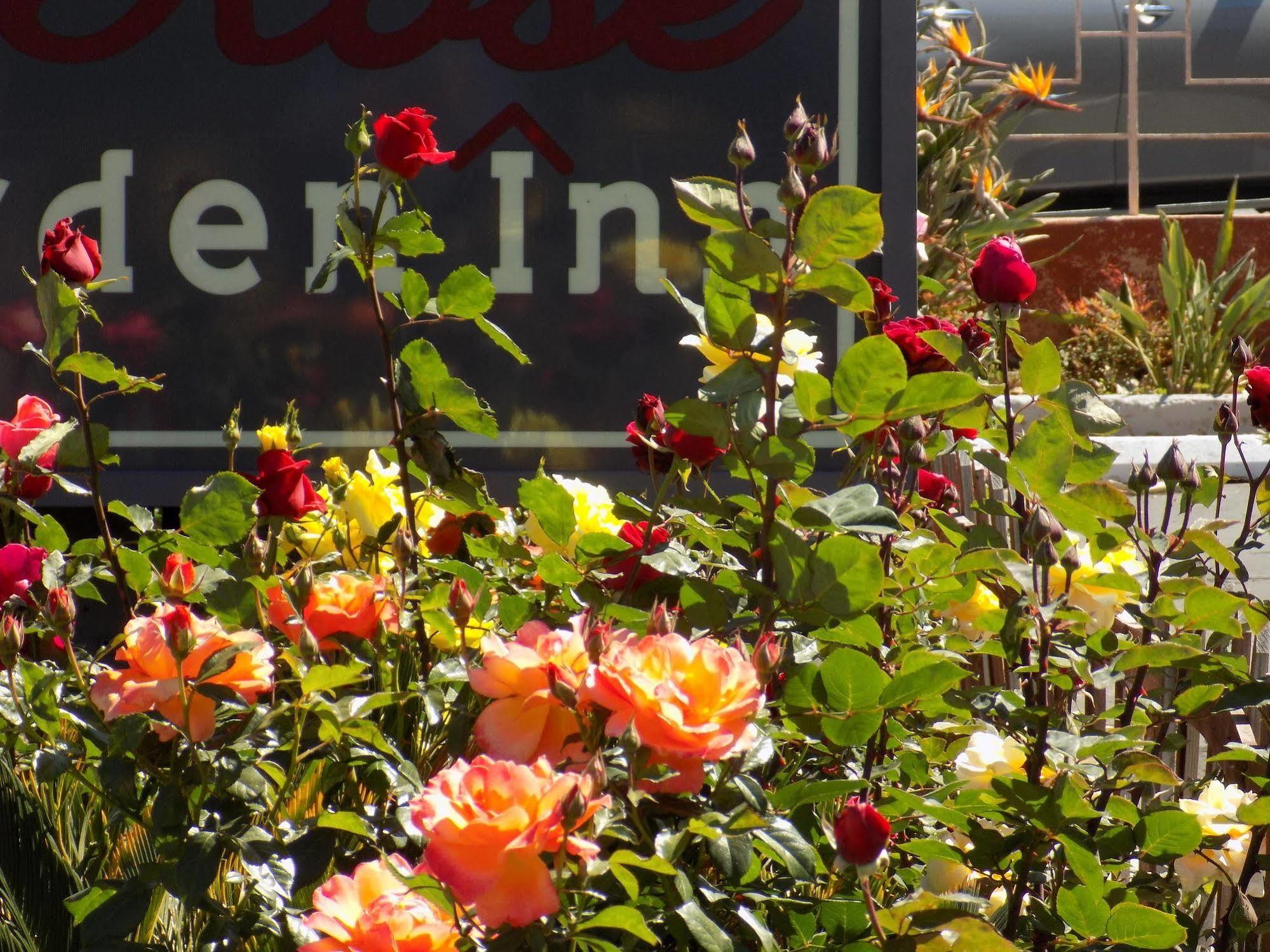 Rose Garden Inn 산타 바바라 외부 사진