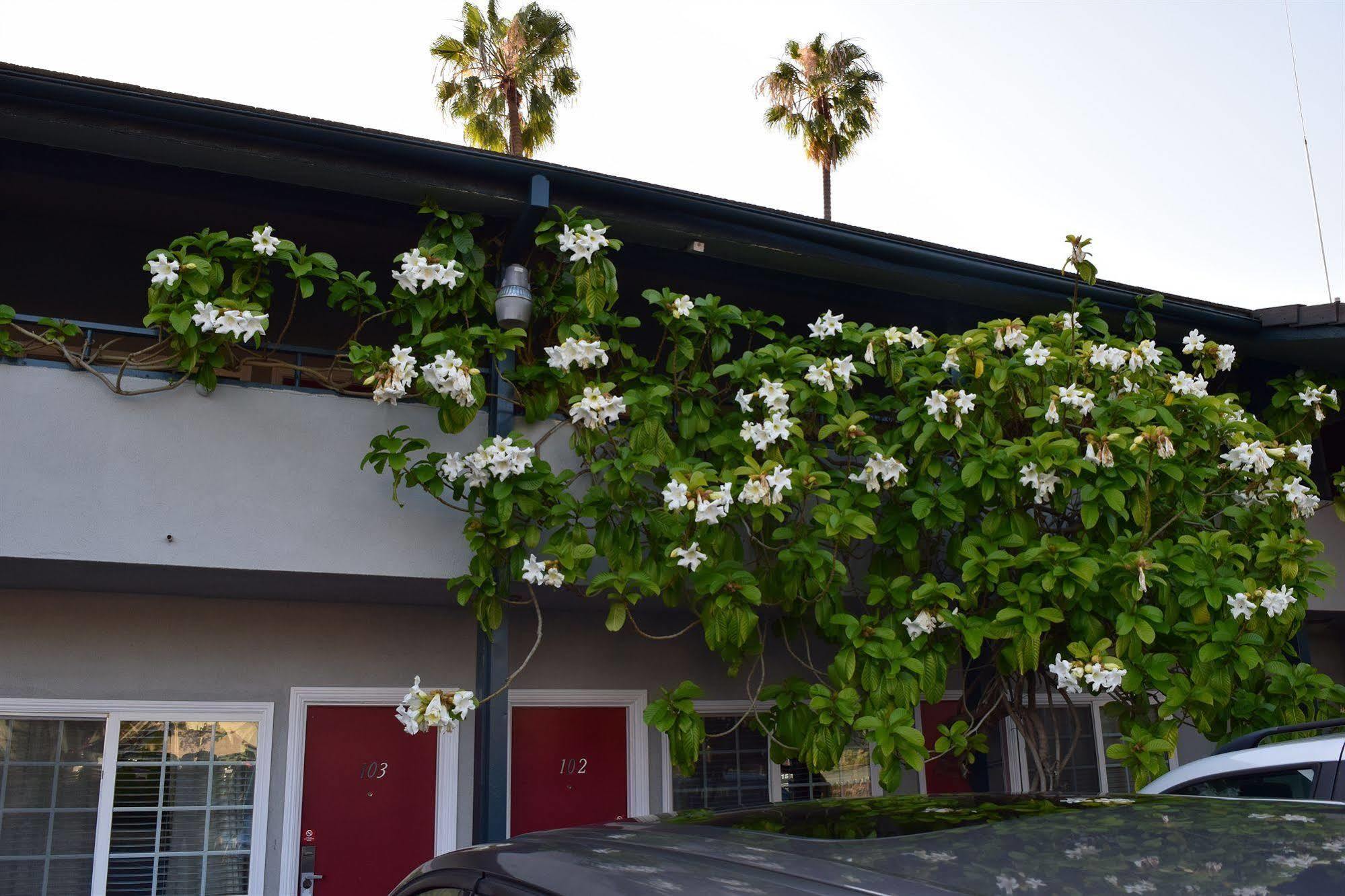 Rose Garden Inn 산타 바바라 외부 사진