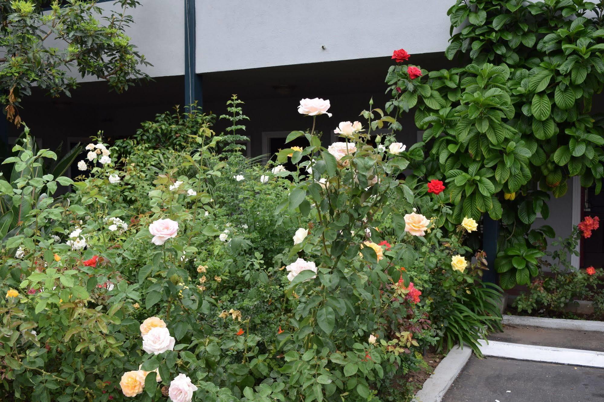 Rose Garden Inn 산타 바바라 외부 사진